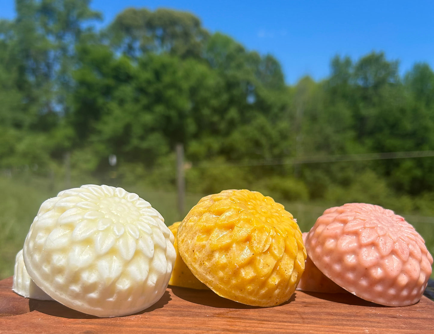 Botanical Blooms Soaps | Lavender, Sunflower & Petal